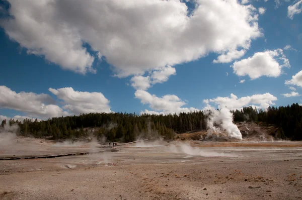 Landschap landschap in yellowstone — Stockfoto