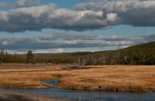 Scenerii krajobraz w yellowstone — Zdjęcie stockowe