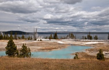 Yellowstone'da termal Havzası