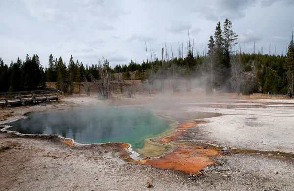 Kleurrijke thermische bekken in yellowstone — Stockfoto