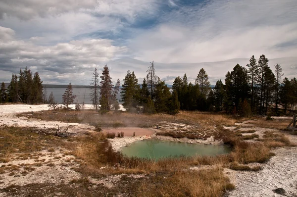 Colorida cuenca termal en Yellowstone —  Fotos de Stock