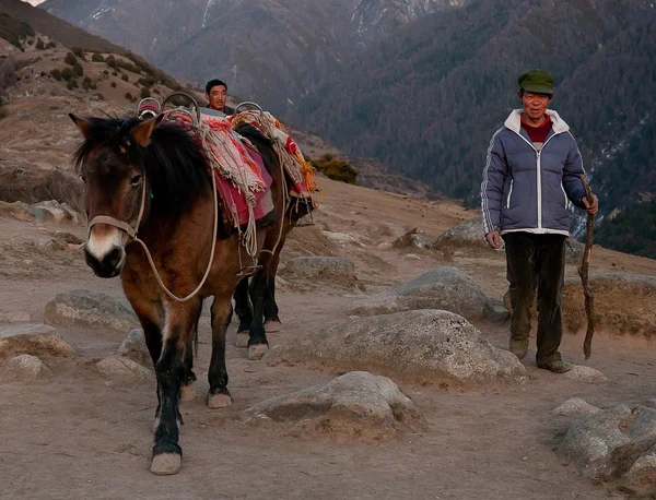 Les agriculteurs chinois dans les montagnes — Photo
