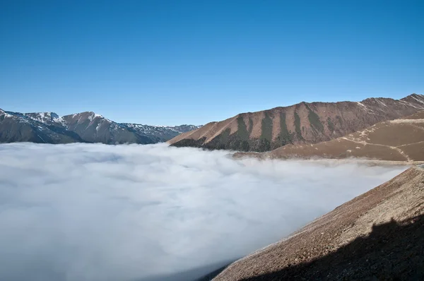 Sulla cima del monte — Foto Stock