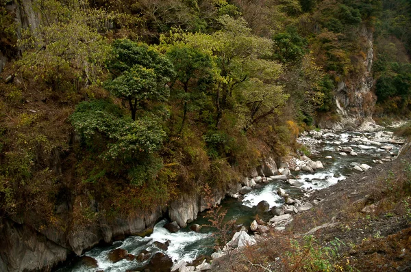 Bergkreek — Stockfoto