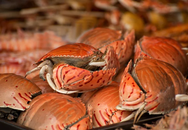 Boiled crabs — Stock Photo, Image