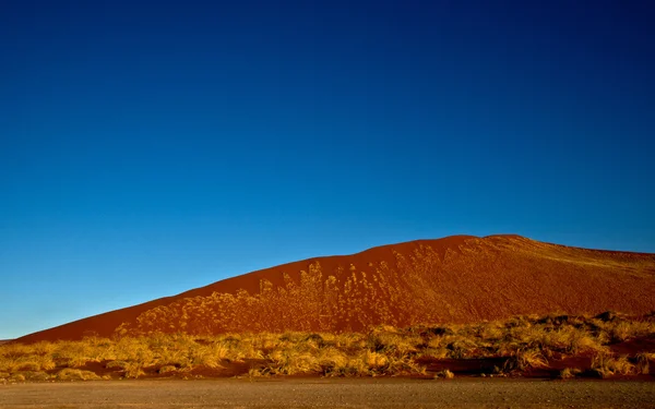 Namib Çölü peyzaj — Stok fotoğraf