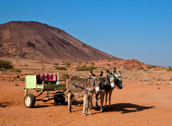 Namibie je tradiční dopravní — Stock fotografie