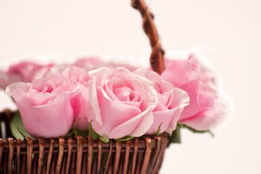 Sepette pembe güller