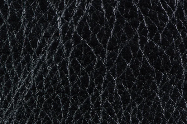 Texture cuir noir — Photo