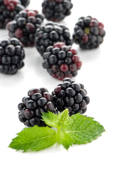 Fresh berry blackberry — Stock Photo, Image