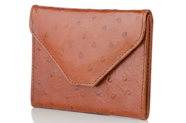 Brown Leather Purse — Stock Photo, Image