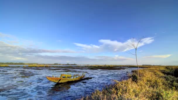 Tempo su un lago — Video Stock