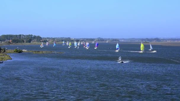 Veleros en regata — Vídeo de stock