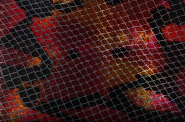 Yılan deri deri dokusu