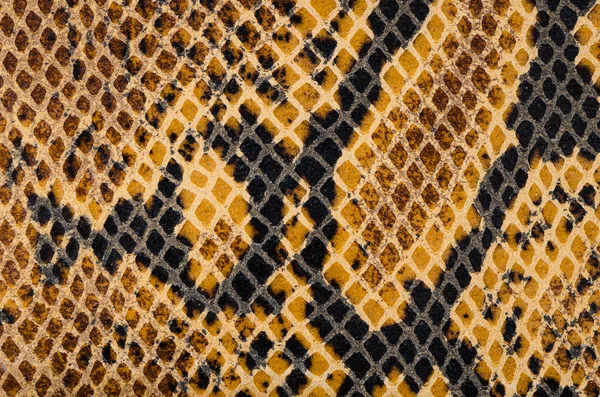 Snake Skin Leather Texture — Stock Photo, Image