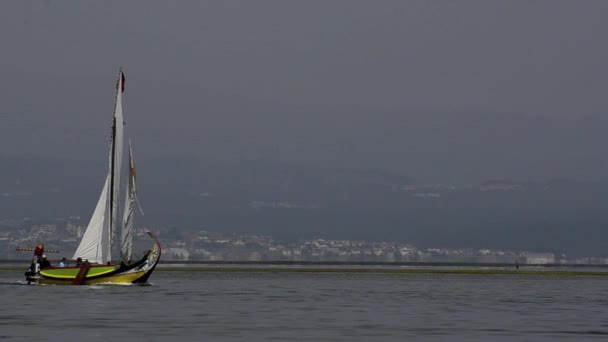 年度 moliceiros 帆船赛 — 图库视频影像