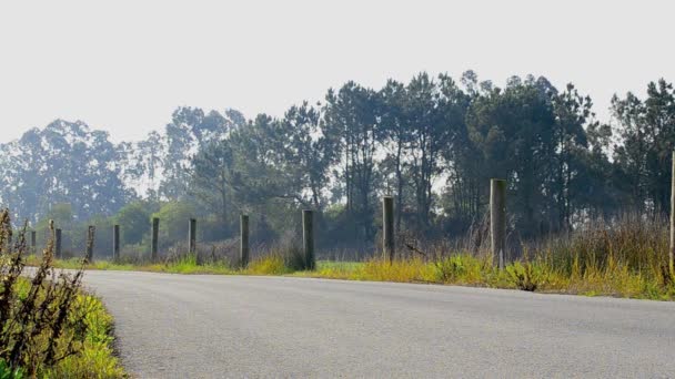 Ciclista — Vídeos de Stock