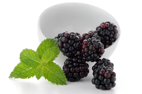 Blackberries in White Bowl — Stock Photo, Image