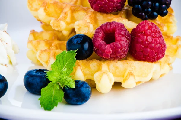 Waffeln mit frischen Beeren — Stockfoto