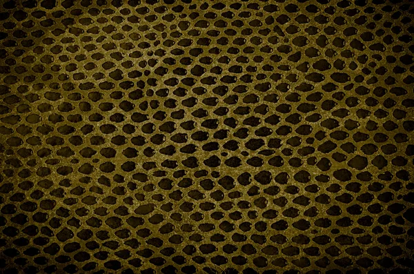 Textura de couro de pele de cobra — Fotografia de Stock