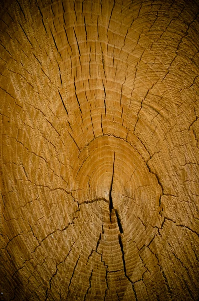 Spricka trä spiral — Stockfoto