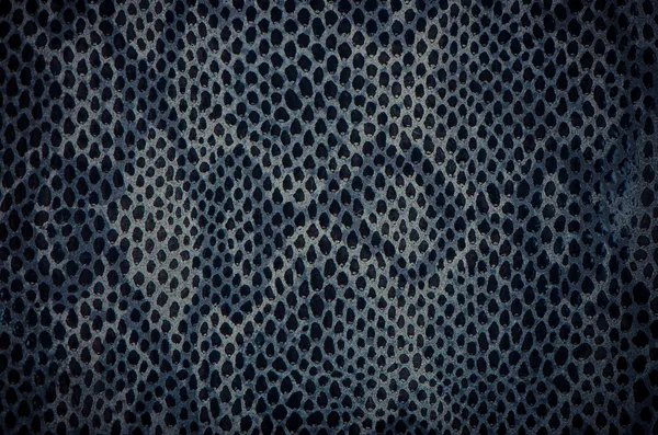 Blue python snake skin — Stock Photo, Image