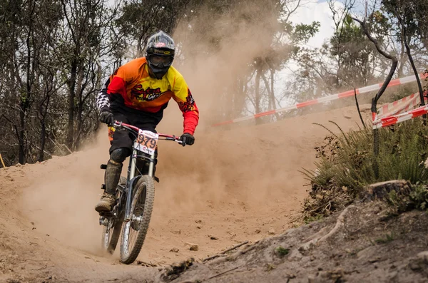 Goncalo correia — Stockfoto