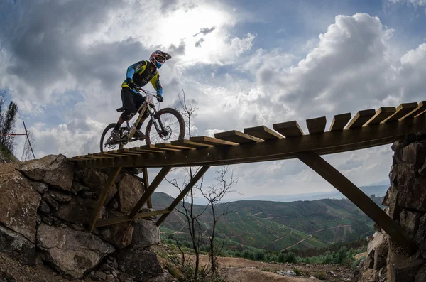 Paulo Basilio — Stockfoto