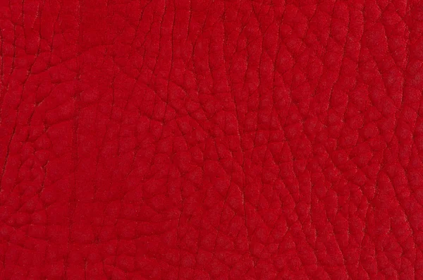 Red leather — Stock Photo, Image