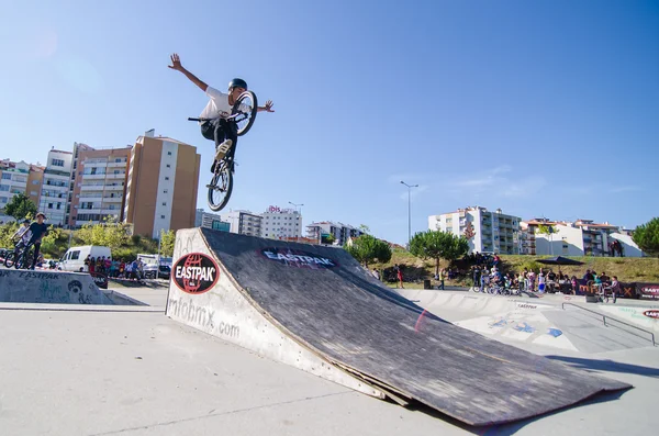 Miguel Correia — Foto de Stock