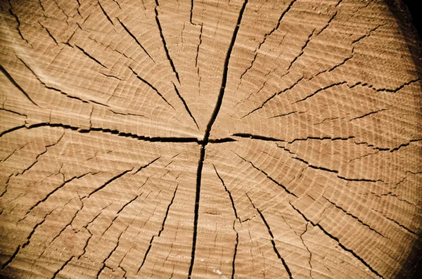 Spleet hout spiraal — Stockfoto