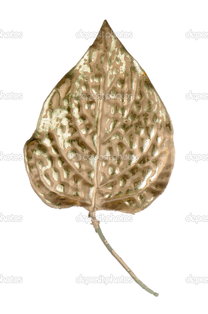 Beautiful decorative golden leaf