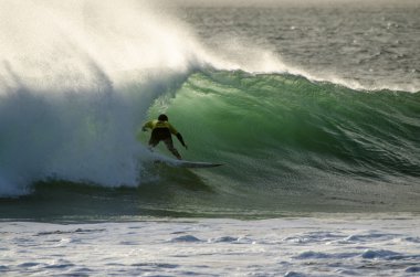 Travis Logie