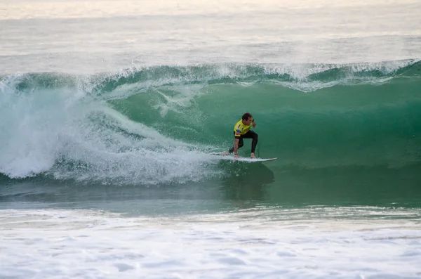 Taylor Knox — Stok fotoğraf