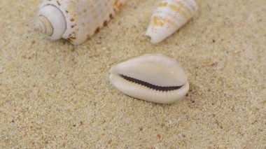 kabukları döndürme