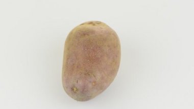 yeni patates yumru