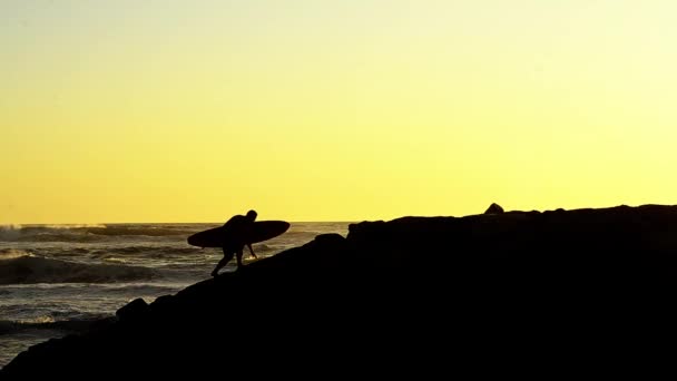 Surfer bei Sonnenuntergang — Stockvideo