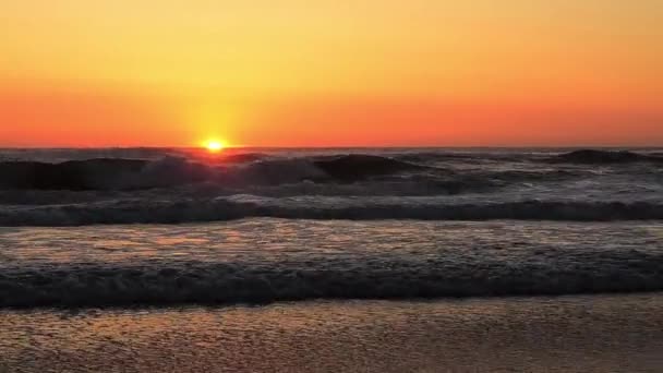 Surfeur au coucher du soleil — Video