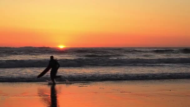 Surfer bij zonsondergang — Stockvideo