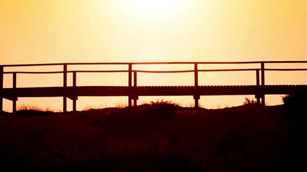 Surfer at sunset — Stock Video