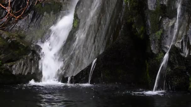 Водопад в лесу — стоковое видео