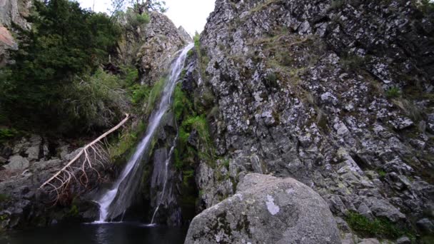 Waterval in een bos — Stockvideo