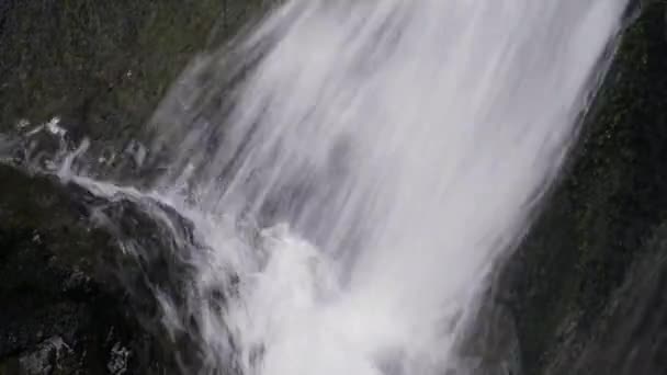 Wasserfall im Wald — Stockvideo