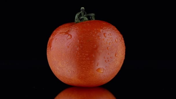 Червоний вишневий помідор обертається — стокове відео