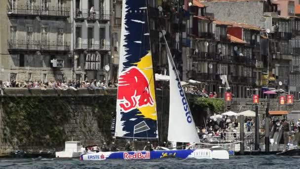 Red Bull Sailing Team в серии Extreme Sailing — стоковое видео