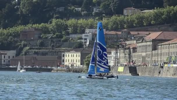 Fala - Muskat konkurować z serii extreme sailing — Wideo stockowe