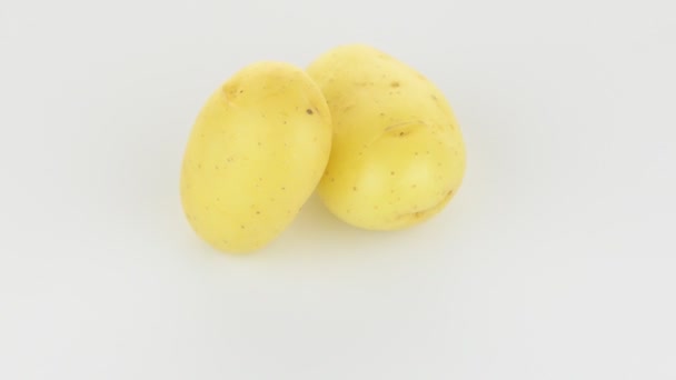 New potato tuber — Stock Video