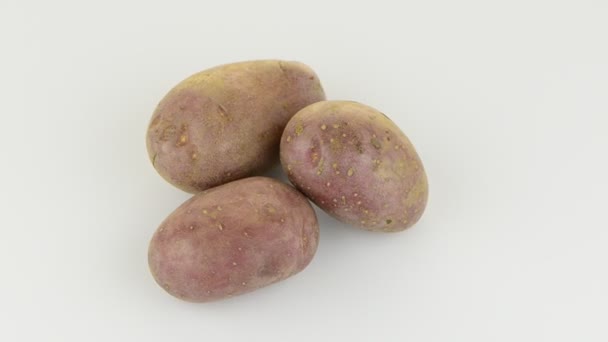 New potato tuber — Stock Video