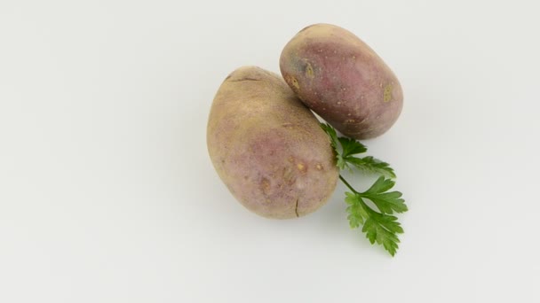 New potato tuber — Stock Video