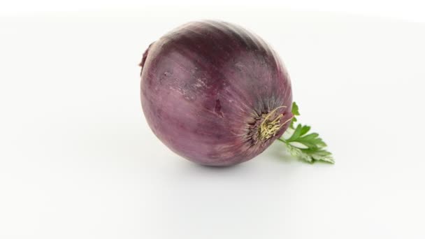 Red onion rotating — Stock Video